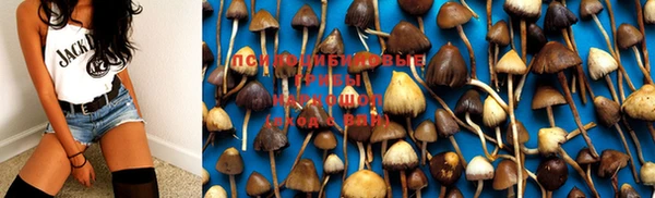 не бодяженный Наволоки