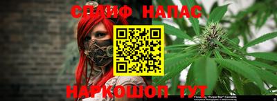 альфа пвп Гатчина
