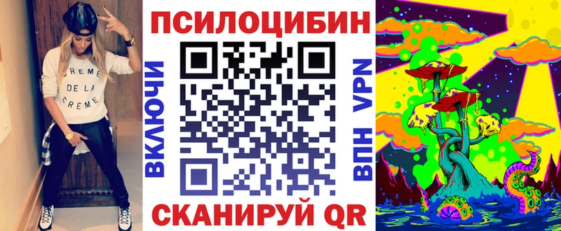 Псилоцибиновые грибы Psilocybe кракен Избербаш где продают наркотики