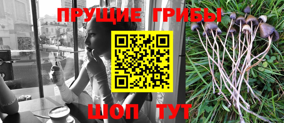 Галлюциногенные грибы мухоморы Избербаш