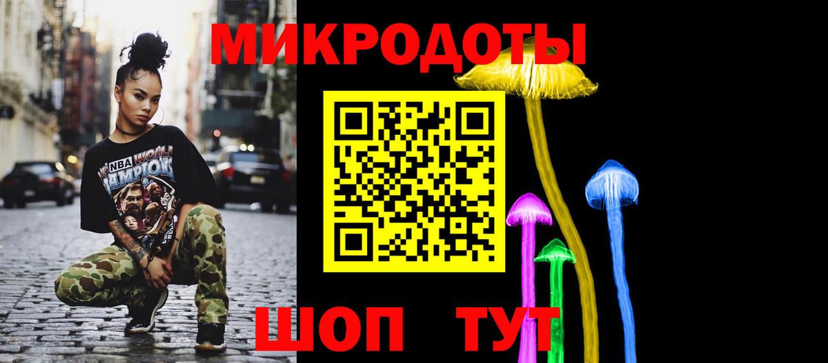 Галлюциногенные грибы Psilocybine cubensis  Избербаш  Галлюциногенные грибы мицелий 